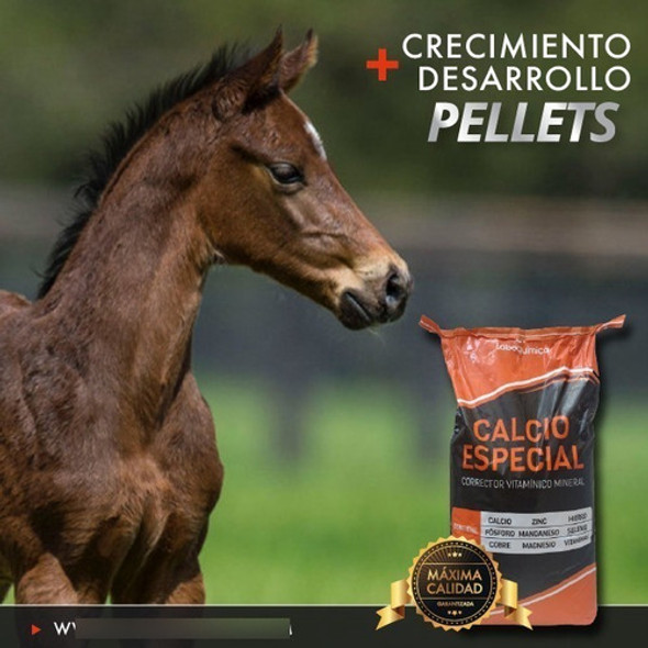 Calcio Especial Pelleteado X 20 Kg + Asesoramiento 1