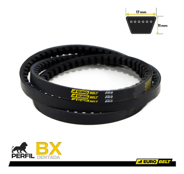 Correia Industrial Bx-64 - Eurobelt 1