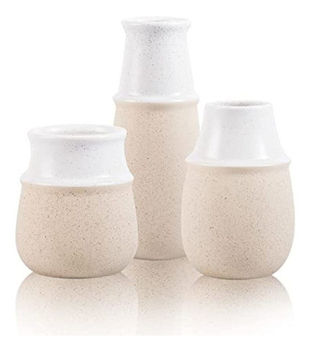 Decoración Moderna De Granja, Jarrón De Hierba Pampeana, Jar 0