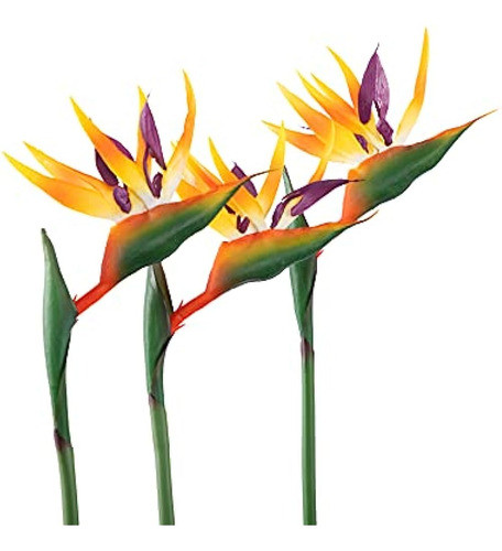 Flores Artificiales De Ave Del Paraíso Goma Strelitzia 32'in 0