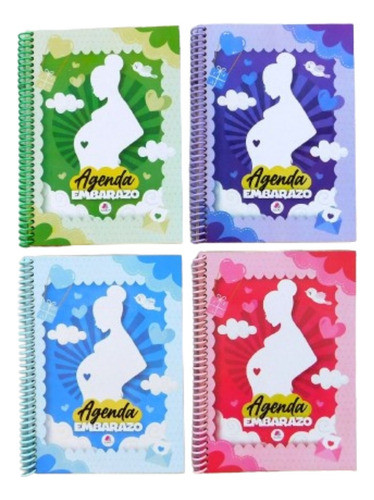 Agenda De Embarazo A Color Pack X 15 0