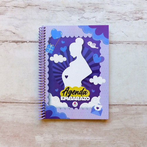 Agenda De Embarazo A Color Pack X 15 1