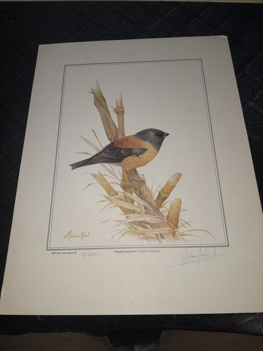 Litografía Firmada Moricz Karl Discípulo Axel Amuchastegui 0