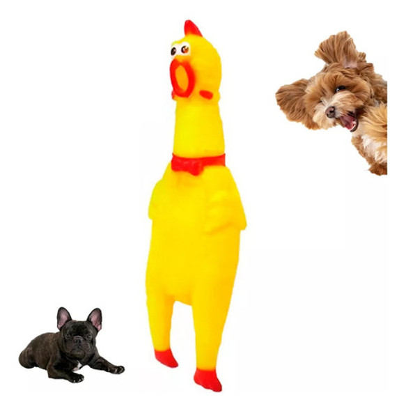 Mordedor Frango Galinha Cachorro 16cm Javick 0
