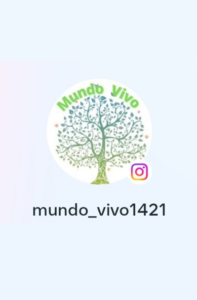 Gua Sha.set De Rodillos Masajeadores Faciales Y Gua Sha. 1