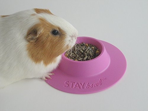 Staybowl® Tipproof Ergonomic Pet Bowl Para Guinea Pig Y Otra 1