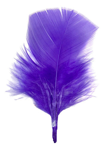 Peninhas Coloridas Fuê Carnaval Artes Pena Escolar Roxo 25g 1