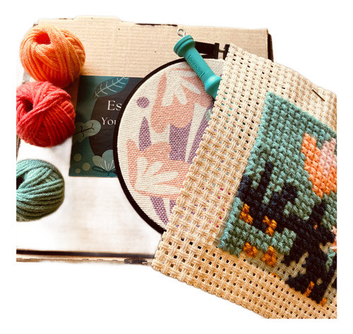 Kit Punto Cruz + Kit Punch Needle En Cajita 2 En 1 0