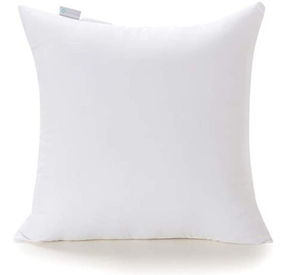 Acanva Inserto Almohada Decorativa Rectangular Forma Hipoale 0