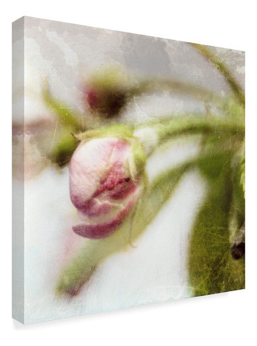 Marca Registrada Arte Flor De Manzana Iii Por Viaje Abierto, 1