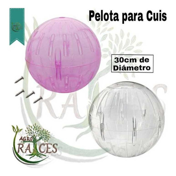 Pelota Para Cuis 1