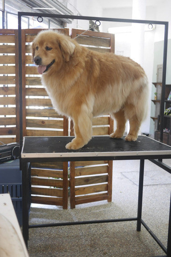 Mesas Peluquería Canina 0