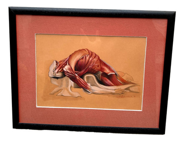 Ecorche Dibujo Figura Humana Anatomía Artística Consultorio 1