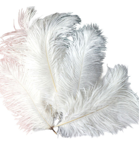 Plumas Avestruz 15 A 20cm X10 Blanco 0