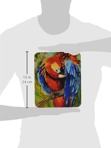 Tesoros De La Caroline Parrot Alfombrilla De Mouse/pad/sa 1