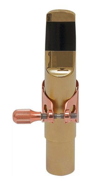 Abrazadera Bg L29mj Para Boquillas Metal Saxo Alto / Tenor 1