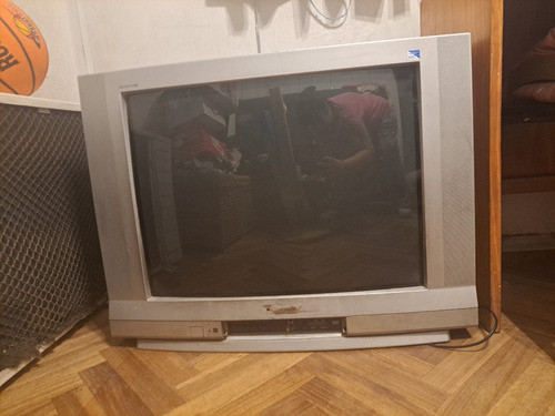 Televisor Panasonic 29 Pulgadas 1