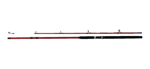 Caña 2,40 2tramo Frontal Doble Hilado 100 - 300 Grs. 0