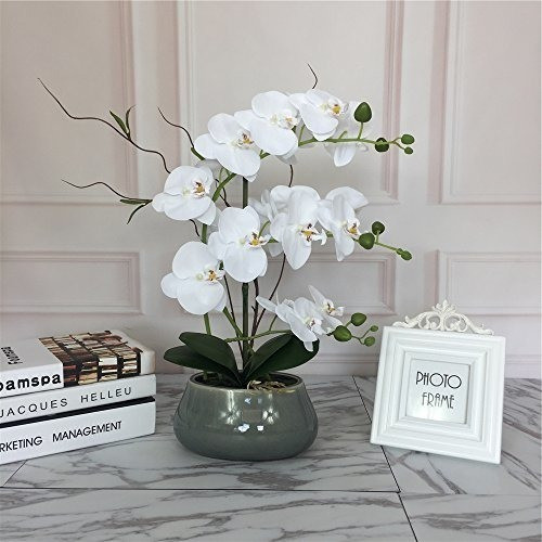 Gran Orquidea De Seda Realista Con Florero De Ceramica Dec 0