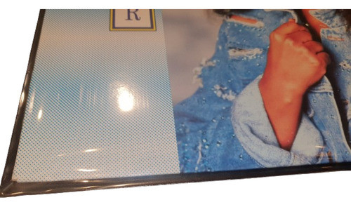 25 Bolsas Para Vinilo Lp 12 Externas 90 Micrones Excelente 0