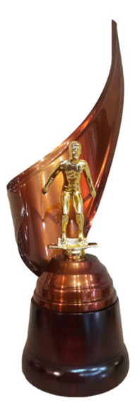 Trofeo Metálico Natación Simple 35cm Base Madera 0