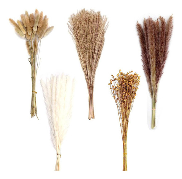 ~? Hierba De Pampas Seca Natural 90 Tallos Flores Secas Vari 0