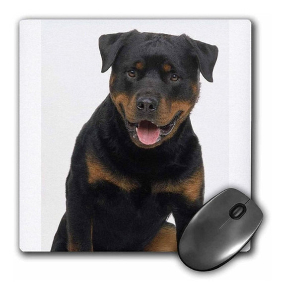 3drose Llc 8 x 8 x 0.25 inches Rottweiler Mouse Pad (mp _ 0