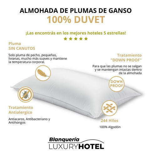 Almohada 100% Duvet Medida 50x70 950 Gramos Premiun 1