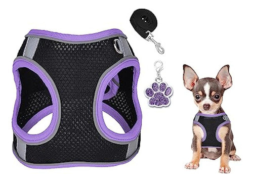 Juego De Arnés Y Correa Para Perro, Arnés Para 0