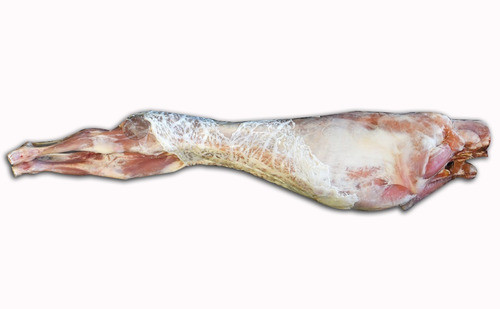 Chivito/cabrito Mamón Chico Stock Permanente 0