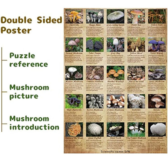 Vintage Mushroom Puzzle 1000 Pieces For Adult, 1