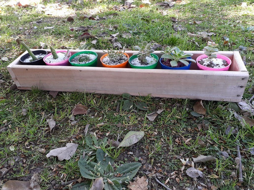 Rectangular Cajon Madera 60x11cm  Ecox1u. 1