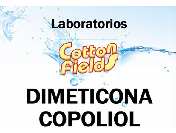 Dimeticona Copoliol Fijador De Esencia Perfume X 1l 0
