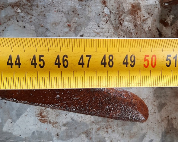 Pico Demoledor. Sin Mango.se Retira De Mañana.tubos Larralde 1