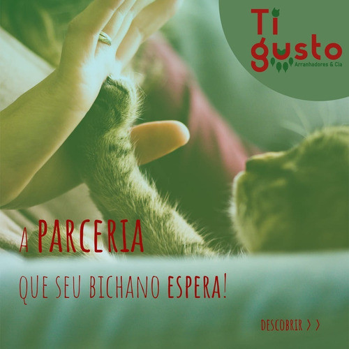 Arranhador Protetor Para Sofá E Cama Gato Kit Com 4 Peças 1