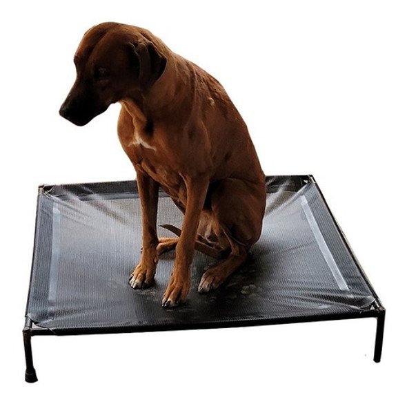 Catre Para Mascotas Mediano + Protectores De Goma (75 X 60) 0