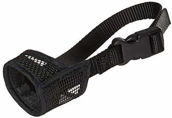 Los Productos Costeros Para Mascotas Son Los Que Mejor Se Ad 0