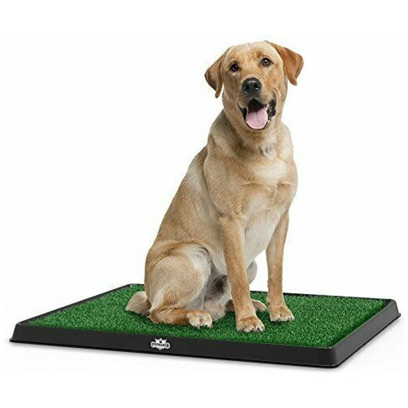 Repuesto Alfombra Sanitaria Deluxe  Super-premium 60x40cm 0
