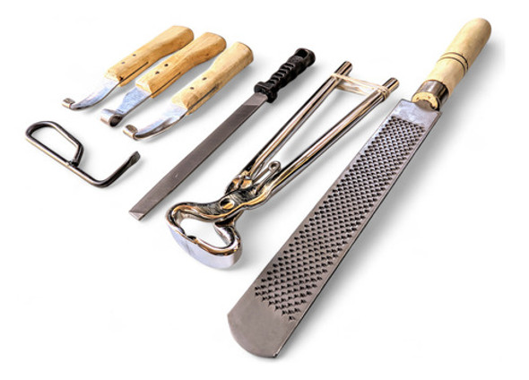 Casqueamento Profissional Equino Ferrageamento Promoção 0