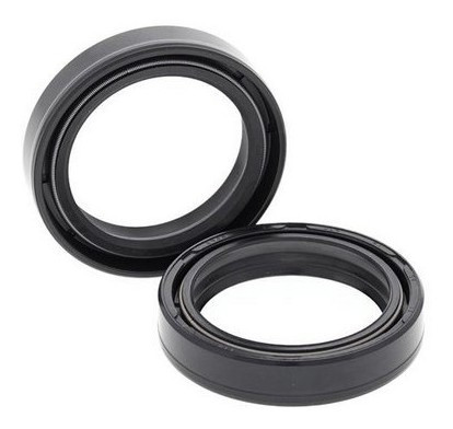 Retentor De Garfo Br Parts Cb 600f Hornet - 41x54x11 (par) 1