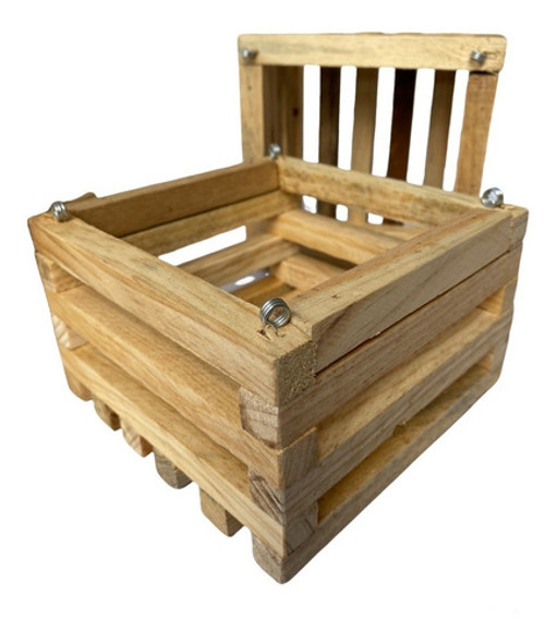 01 Und Cachepot  Madeira Pinus 16 X 16 0