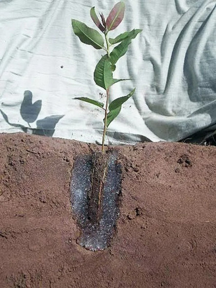 Gel Para Plantio Mudas E Arvores Nativas Hidrogel 20 Kg 1