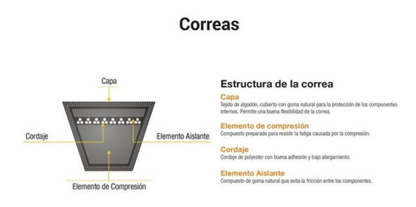 Correa Industrial Lisa C51 Lockhart 1