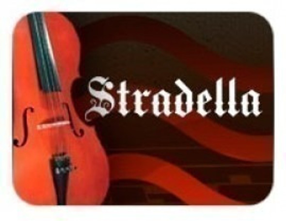 Puente Violin 4/4 Stradella Pv44 1 Puente Violin 4/4 Stradella Pv44 1