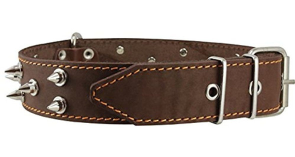 Perros Mi Amor, Cuero Real, Clavos De Cuello De Perro Con Pi 1