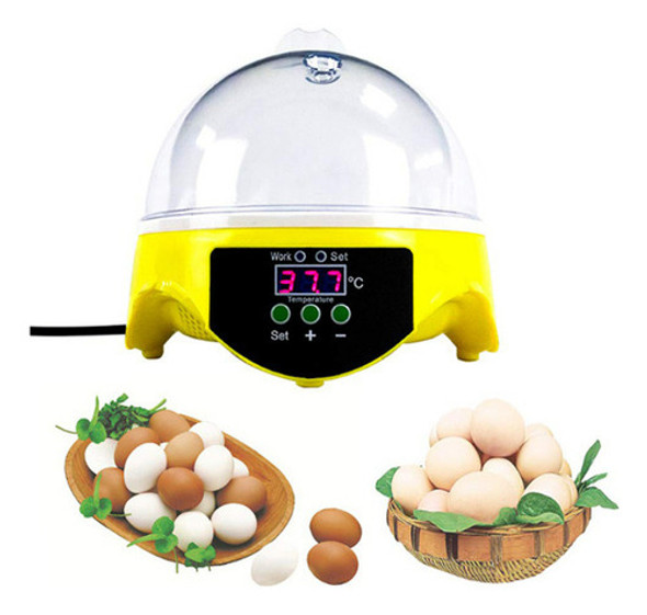 Mini Incubadora Automática Barata Pequena E Barata 7 Ovos 0