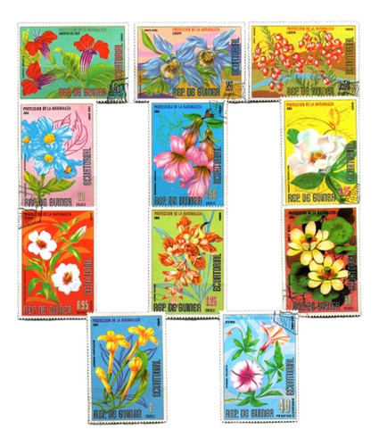 Guinea Ecuatorial Flores Proteccion Naturaleza Oferta 0