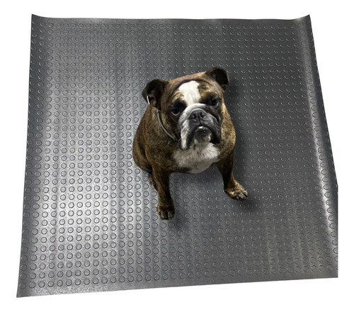 Manta De Borracha Formato Moeda Anti Ruido 3mm 5.00x1.00 0