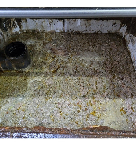 Enzione Enzimas Biodegradador Limpa Fossa Cx De Gordura 2 Un 1