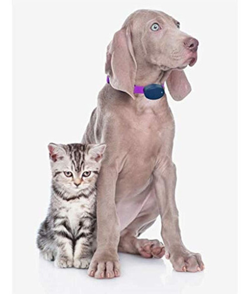 Correa De Repuesto Para Collar De Perro Para Vallas Para Per 1